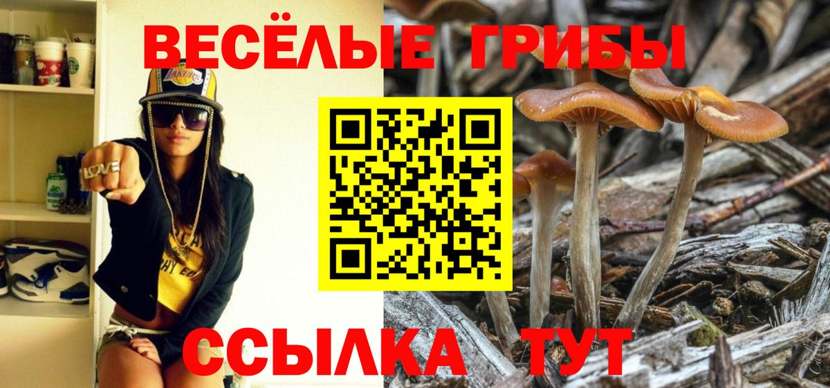 Галлюциногенные грибы Psilocybine cubensis Новокуйбышевск